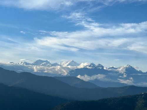 Darjeeling House | Tsuki27