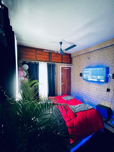Gauhati House | Urban Oasis 1BHK Private
