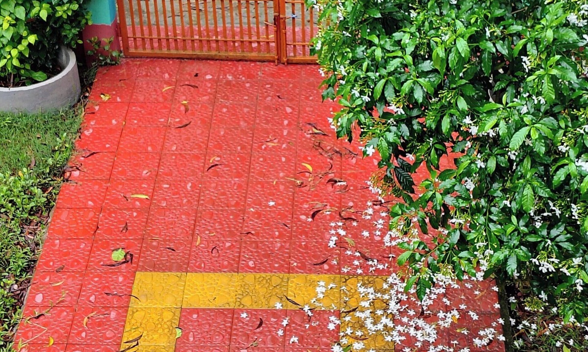 Jhalakathi Sadar House | Village Duplex in Barishal with Free Local Guiding