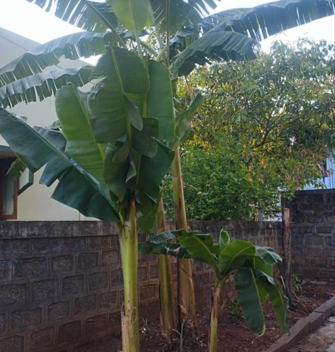 Kolhapur House | Visava budget friendly homestay