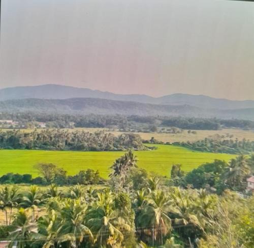 Cuncolim Villa | Wonderville Villa