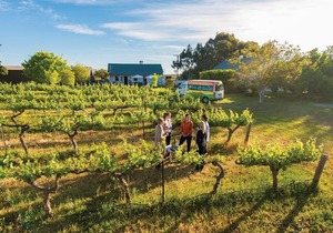 Barossa Valley Apartments in Tanunda