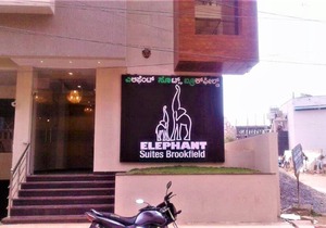 Elephant Suites Brookefield # 26