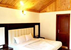 G Villas- Luxurious Cottage with beautiful mountain view 3