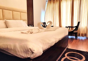 G Villas- Luxurious Cottage with beautiful mountain view
