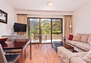 Lantern 09- Deluxe Apartment nestled in the Snowy Mountains. in Thredbo