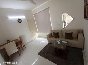 Bluo Hitech City Tt Terrace Garden Lift | HITEC City