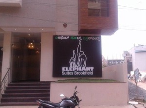 Elephant | Lakshminarayana Pura