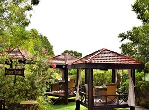 Hotel Orchid Bangalore | Domlur