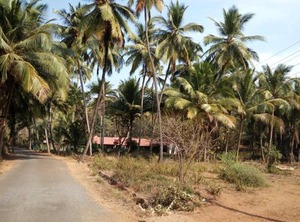 Raikar | Marmagao