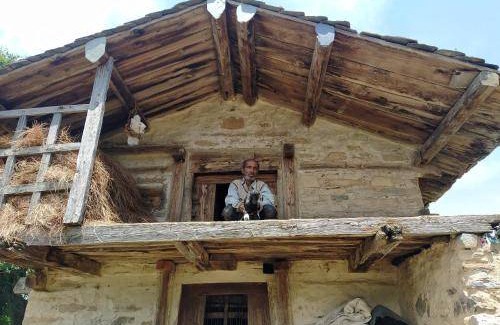 Chakrata Bed & Breakfast | 12 m² Bed and breakfast ∙ 2 guests