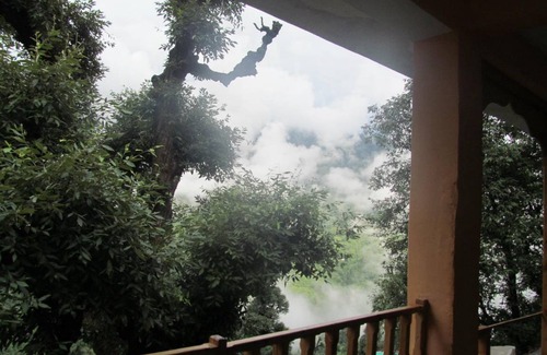 Banjar Hostel | 144 m² Hostel ∙ 2 guests