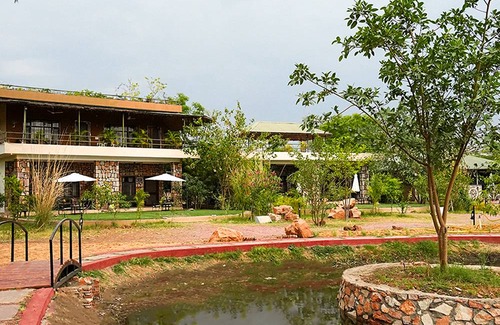 Sawai Madhopur Hostel | 30 m² Hostel ∙ 3 guests