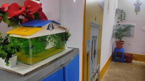 Mysore Hostel | 37 m² Hostel ∙ 2 bedrooms ∙ 12 guests