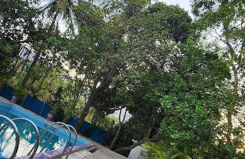 Ulhasnagar Villa | 800 m² Villa ∙ 3 bedrooms ∙ 26 guests