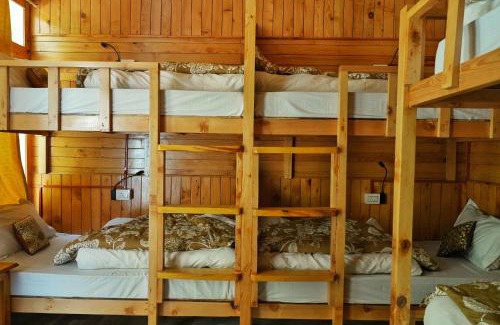 Shoja Hostel | Ailyak Stays and Cafe, Shoja, Jibhi