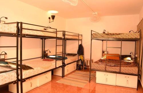 Koramangala Hostel | BE ANIMAL Hostel