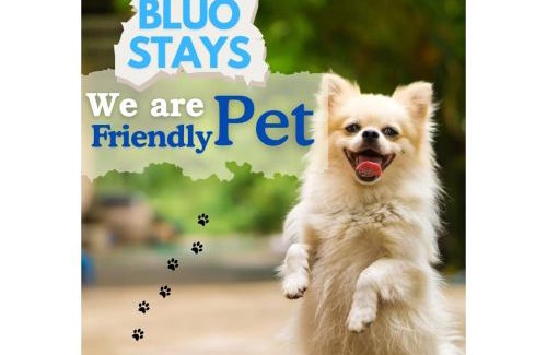 Greater Kailash Apartment | BluO 2BHK - M Block Mkt - Lift , Balcony , Parking