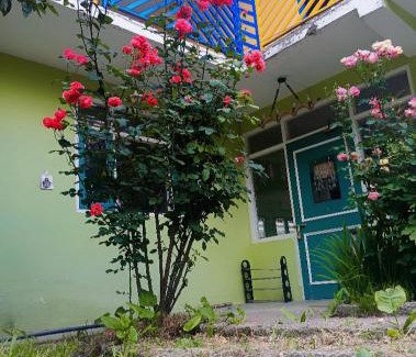Khattalwada Hostel | Buddies Stay Café Community