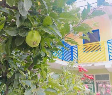 Khattalwada Hostel | Buddies Stay Café Community