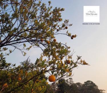 Sidhpur House | HIMVIGRAHA- Your Mountain Retreat
