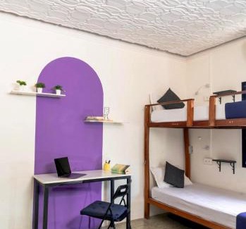 Park Road Hostel | Locomo Hostel OG - Stay Work Eat