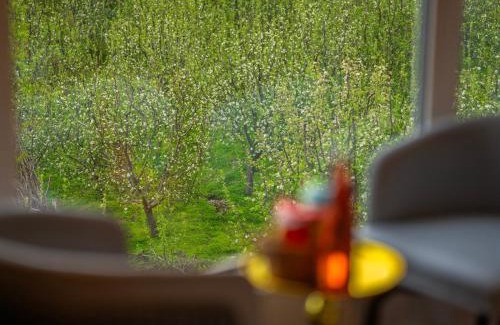 Pahalgam Hostel | Moustache Hostel Pahalgam