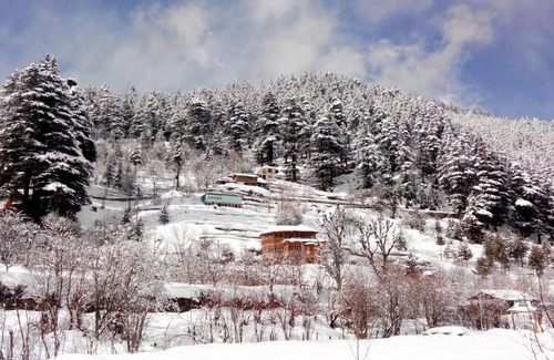 Sangla Resort | Private room ∙ 2 guests