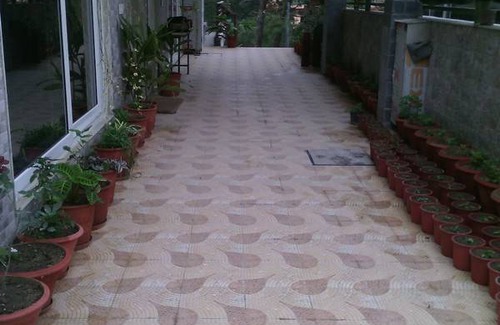 Palampur Resort | Private room ∙ 2 guests