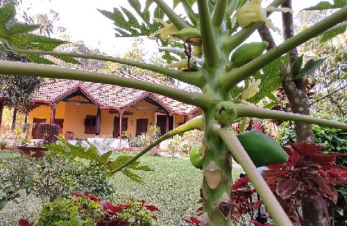 Madikeri House | SILVER BROOK ESTATE HOMESTAY