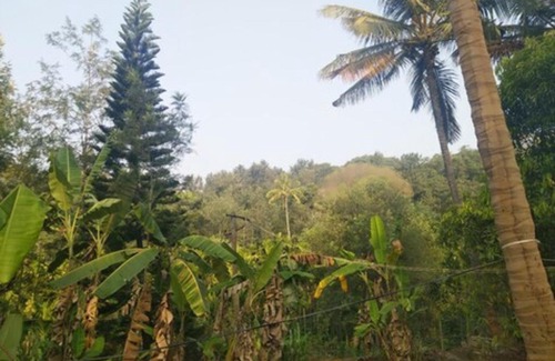 Stuart Hill House | TripThrill Inn Coorg Homestay