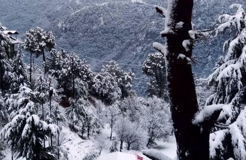 New Shimla House | Village View Homestay Shimla