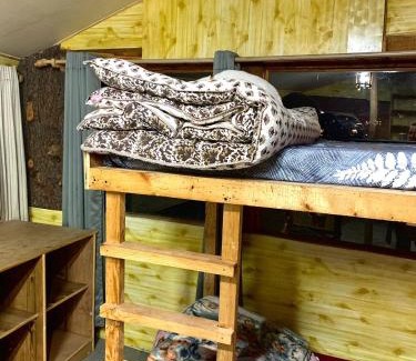 Vashist Hostel | WHAT THE FOREST Vashisht