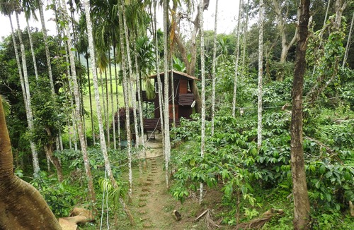 Virarajendrapet Resort | 1 Duplex Tree House, 1 Tree House, 2 Cottages and 1 Family villa