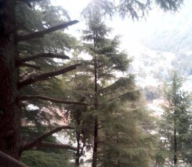 Dharamshala House | 100 m² House ∙ 1 bedroom ∙ 3 guests