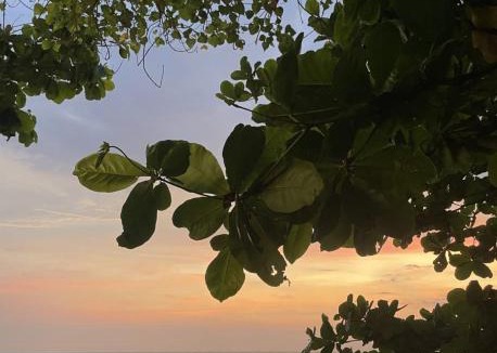 Arambol Hostel | 12 Monks - Beachfront Hostel