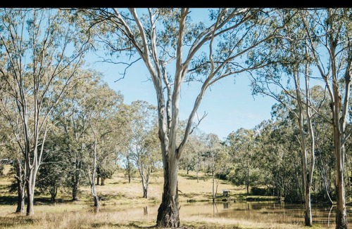 Taromeo Cottage | 3 bed cottage nestled at the centre of 18