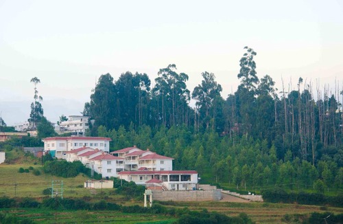 Fern Hill Resort | 40 m² Resort ∙ 16 guests