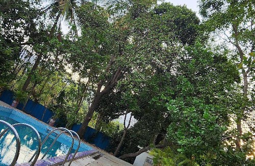 Ulhasnagar Villa | 800 m² Villa ∙ 3 bedrooms ∙ 26 guests