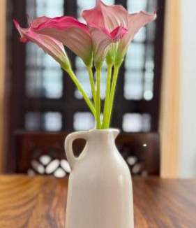 Thiruvananthapuram Villa | A home all to yourself and Peaceful Independent House