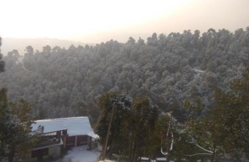 Shimla House | A.R . Homestay