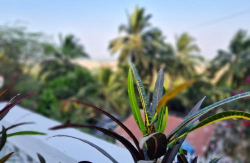 Yesade Villa | Alibag Outpost 2BHK AC Villa nr Kashid Revdanda
