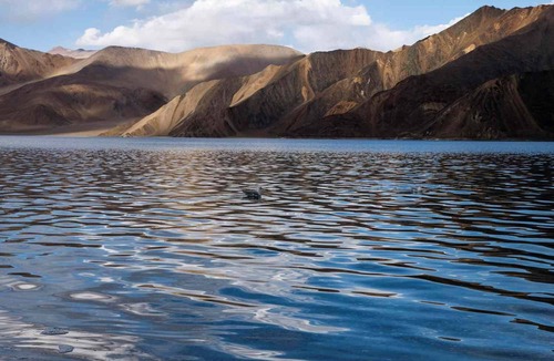 Spangmik Cottage | Alpine Cottage Pangong