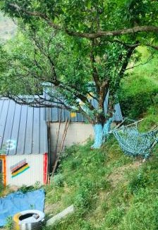 Mohal House | Ambar Cottage
