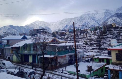 Naddi House | Anchal House