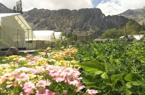 She RV Rental | Apple Cottage Nubra - Glamping