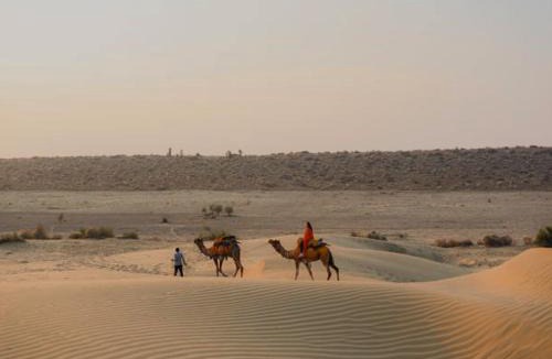 Jaisalmer Hostel | Aurora Nami Stay Jaisalmer