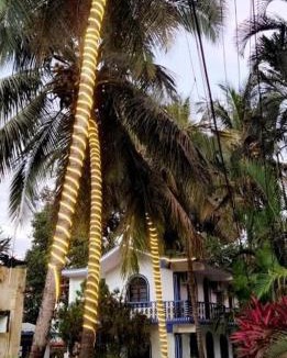 Saunta Vaddo Hotel | Baga Beach Palms