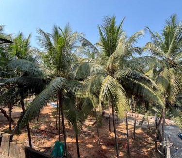 Saunta Vaddo Apartment | Baga Seawinds Luxury Studio with Pool and Walking To Beach