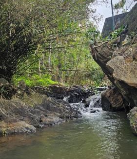 Kottappadi part Hostel | Bambooleaf pool dormitory